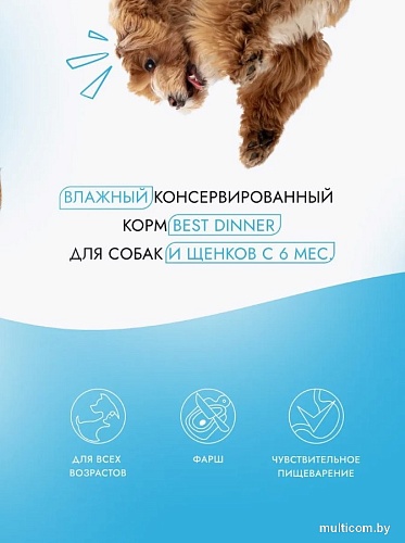 Консервированный корм для собак Best Dinner Для щенков и взрослых собак Ягненок с ягодами (850 г)
