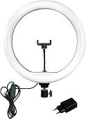 Кольцевая лампа SmartBuy SBL-TTL-10