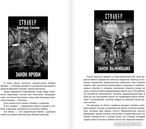 Книга издательства Харвест. Закон проклятого (Силлов Д.)