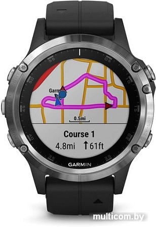 Умные часы Garmin Fenix 5 Plus Sapphire (серебристый/черный)