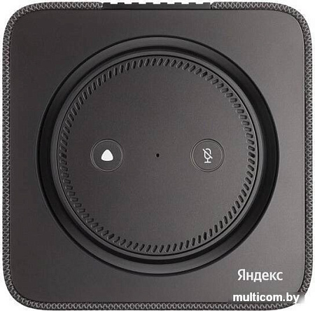 Умная колонка Яндекс Станция Макс (с хабом умного дома Zigbee, черный)