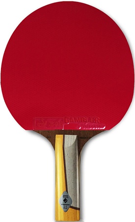 Ракетка для настольного тенниса Gambler Im8 Carbon Burst GRC-12 (прямая)