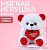 Классическая игрушка Milo Toys Для тебя 1216957