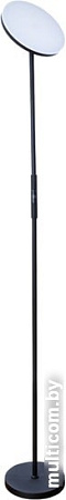 Торшер Arte Lamp Sceptrum A1822PN-1BK
