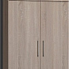Шкаф распашной Макс Стайл Fidji Egger 240x100x50 14C5050 (дуб бардолино натуральный Н1145 ST10)