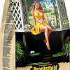 Сухой корм для кошек Brooksfield Low Grain Adult Cat Beef с говядиной и рисом 400 г