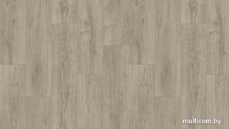 Линолеум Tarkett Sigma Coventry 1 (2.5x4м)