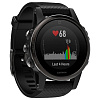 Умные часы Garmin Garmin Fenix 5S Sapphire (silicone)