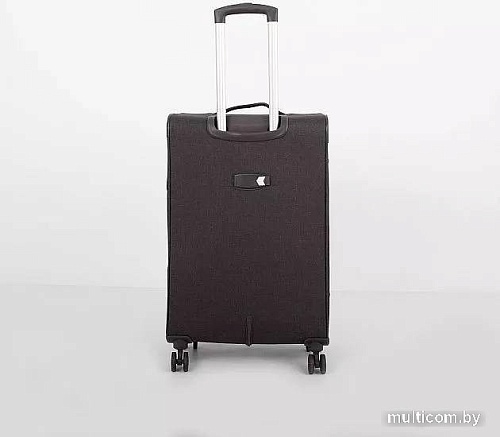 Чемодан-спиннер Francesco Molinary 270-2519-3-24 (темно-серый)