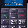 Мобильный телефон Panasonic KX-TU110RU (фиолетовый)