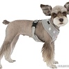 Шлейка Puppia Algo PARA-HA1532-GY-L (серый)