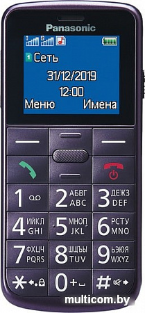 Мобильный телефон Panasonic KX-TU110RU (фиолетовый)
