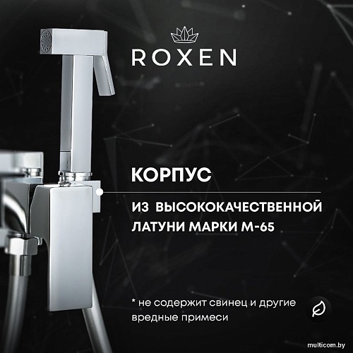 Гигиенический душ Roxen Caspia 500960-CH