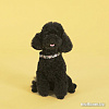 Ошейник United Pets Complete Me Collar (S, разноцветный рисунок)