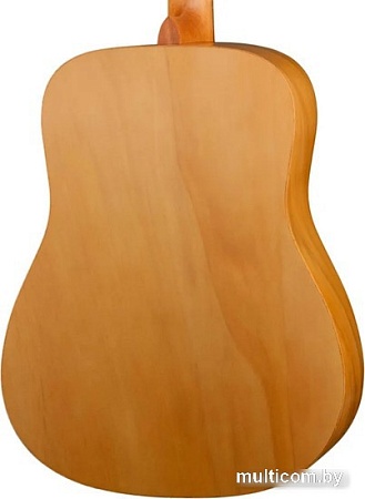 Акустическая гитара Ramis RA-A05