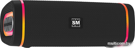 Беспроводная колонка Soundmax SM-PS5019B (черный)