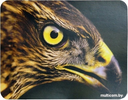 Коврик для мыши Buro BU-M40005 "Орёл