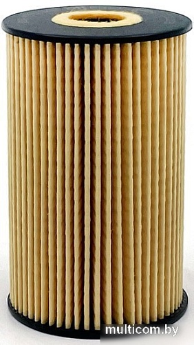 BIG Filter Вставки GB-1469EC