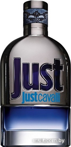 Roberto Cavalli Just Cavalli For Him EdT (30 мл)