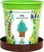 Набор для опытов Happy plant Ель необыкновенная hpn-10