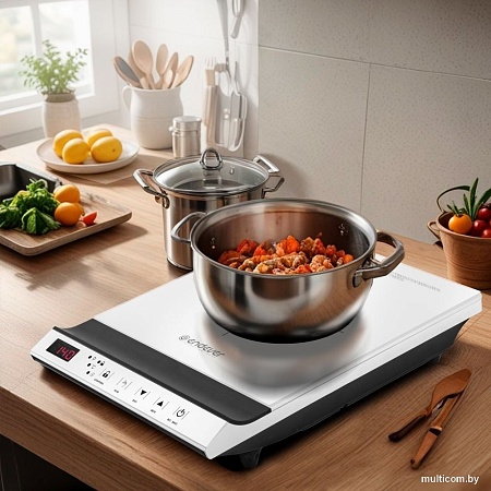 Настольная плита Endever Skyline IP-68