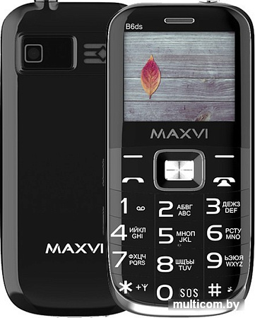 Кнопочный телефон Maxvi B6ds (черный)