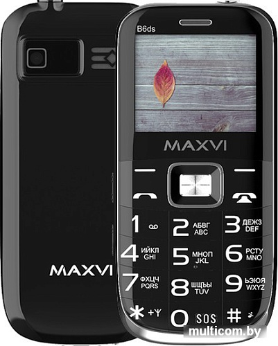 Кнопочный телефон Maxvi B6ds (черный)