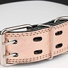 Ошейник Дарэленд простроченный 2х-слойный 45 мм 53-63 см (розовое золото)
