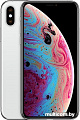 Смартфон Apple iPhone XS 64GB (серебристый)