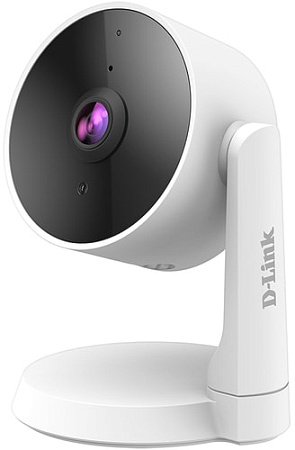 IP-камера D-Link DCS-8325LH/A1