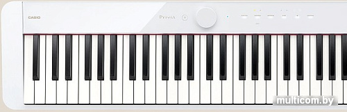 Цифровое пианино Casio PX-S1100 (белый)