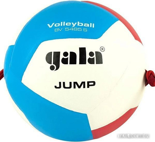 Волейбольный мяч Gala Jump 12 BV 5485 S (размер 5, красный/синий/желтый)