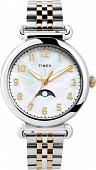 Наручные часы Timex TW2T89600