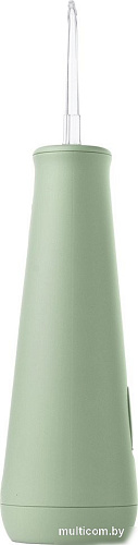Ирригатор Revyline RL 630 (зеленый)