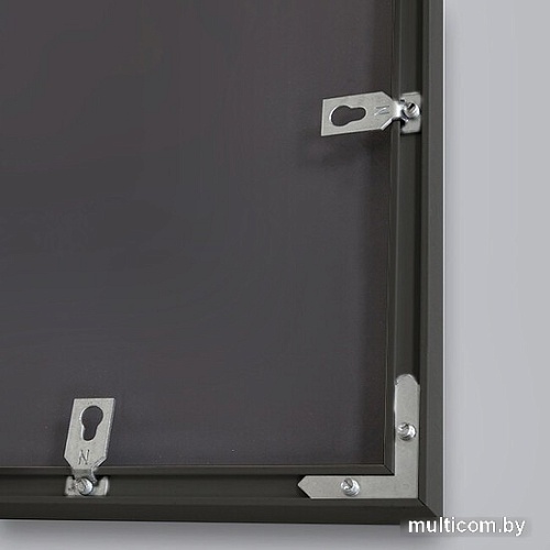 Интерьерные зеркала Алмаз-Люкс М-420 100х50