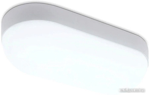 Уличный настенный светильник Ambrella light Street ST8655