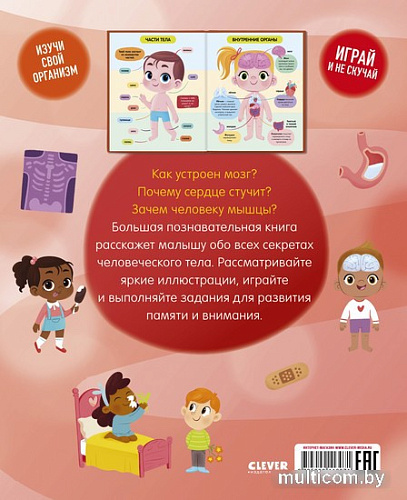 Энциклопедия издательства Clever. Удивительные энциклопедии. Тело человека
