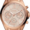 Наручные часы Fossil Modern Courier BQ3036