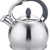 Чайник со свистком TimA K-1609