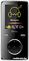 MP3 плеер Ritmix RF-4950 (8 Gb)