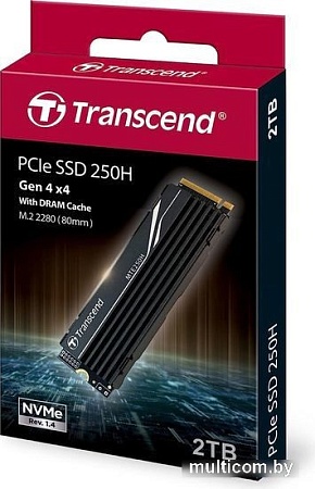 SSD Transcend 250H 2TB TS2TMTE250H