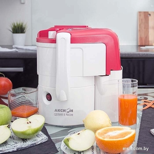 Соковыжималка Аксион СЦ 32.02 Джус