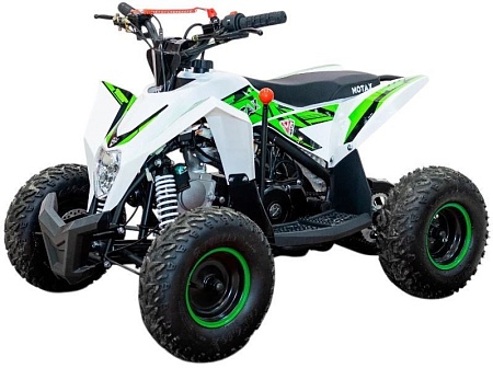 Квадроцикл Motax Gekkon 90 (черный/белый/зеленый)