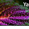 Телевизор BBK 50LED-8257/UTS2C