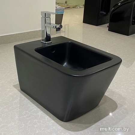 Биде CeramaLux NS 5370MB
