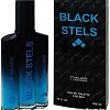 Туалетная вода Positive Aerostar Black Stels EdT (100 мл)