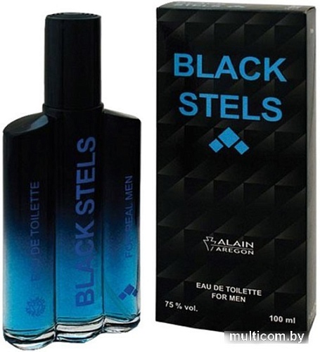 Туалетная вода Positive Aerostar Black Stels EdT (100 мл)