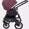 Универсальная коляска Rant Patio (2 в 1, 05, фиолетовый)