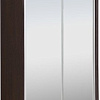 Шкаф-купе Рэйгрупп 138450 VVX Elgon РГ-11.04 (венге/венге/хром)
