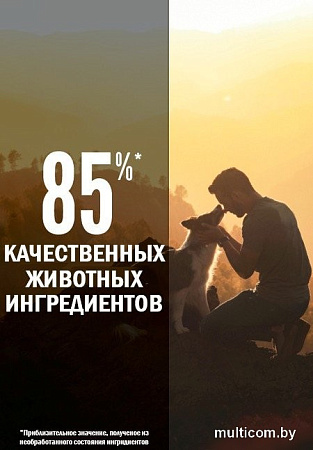 Сухой корм для собак Orijen Dog Tundra 11.4 кг
